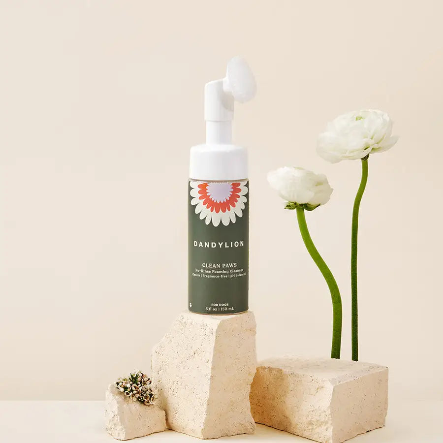 Clean Paws No-Rinse Foaming Cleanser
