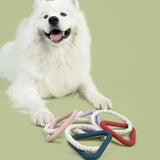 On the Run Triangle Toy | Dog Toy