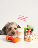 Probiotics Food Supplement For Dogs