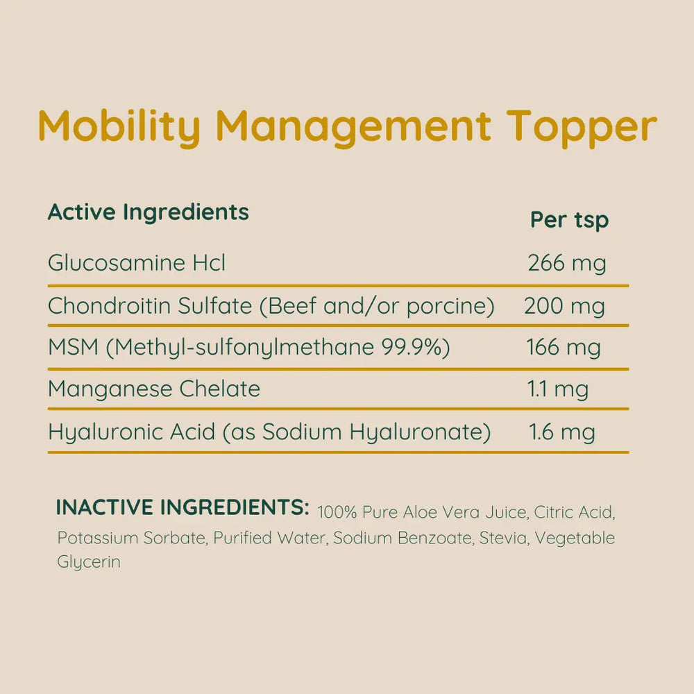 Mobility Management Topper