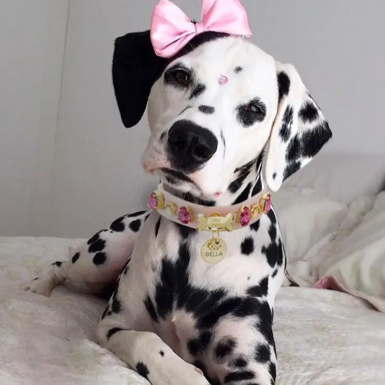 Chelsea Pink Swarovski Dog Collar