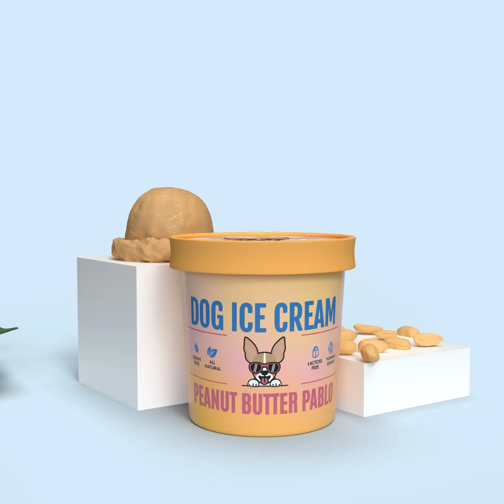 Human Grade Peanut Butter Dog Ice Cream Mix