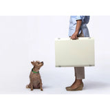 Modern Collapsible Plastic Dog & Pet Crate