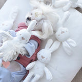 Rabbit Plush Dog Toy