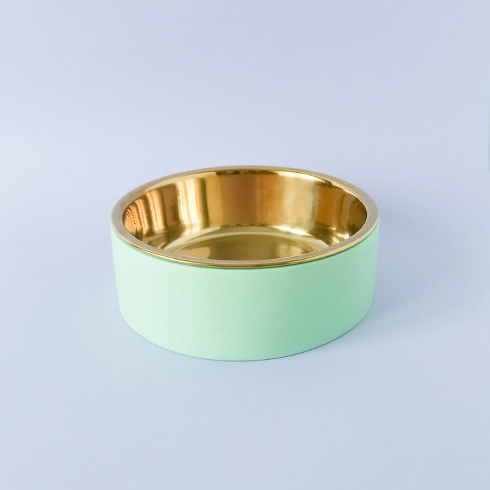 Mint weighted pet bowl