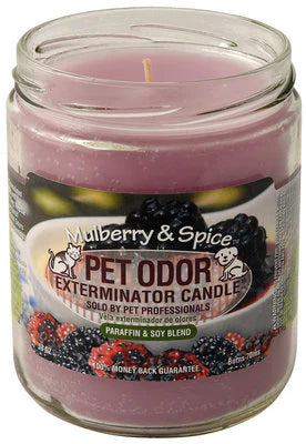 MULBERRY SPICE CANDLE