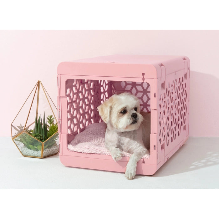 Modern Collapsible Plastic Dog & Pet Crate