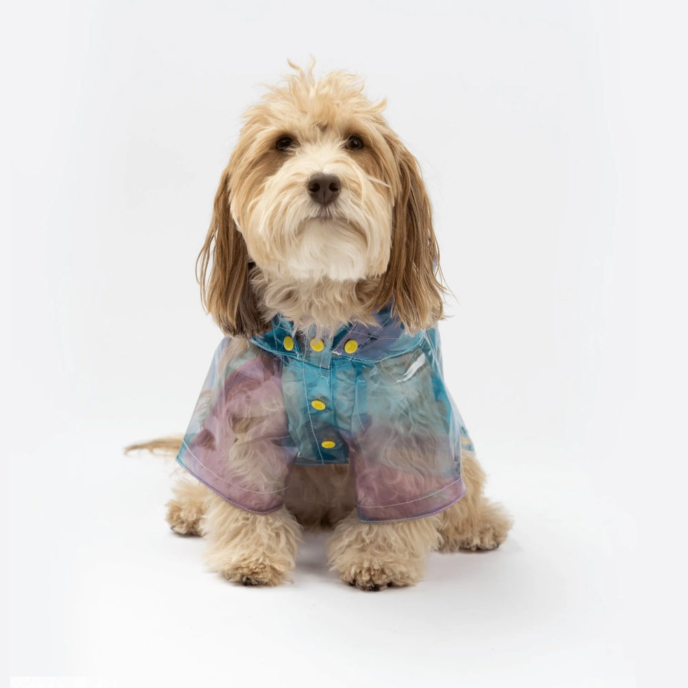 Kinney Dog Translusent Raincoat